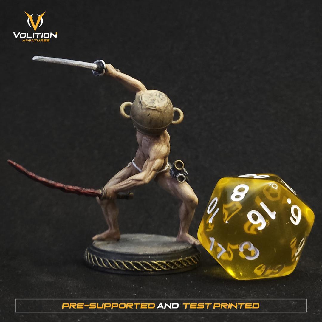 Let me solo her Miniature & Figure | Hand-Painted or Unpainted Resin Statue | Elden Ring Collectible | 16K Print | VolitionMiniatures