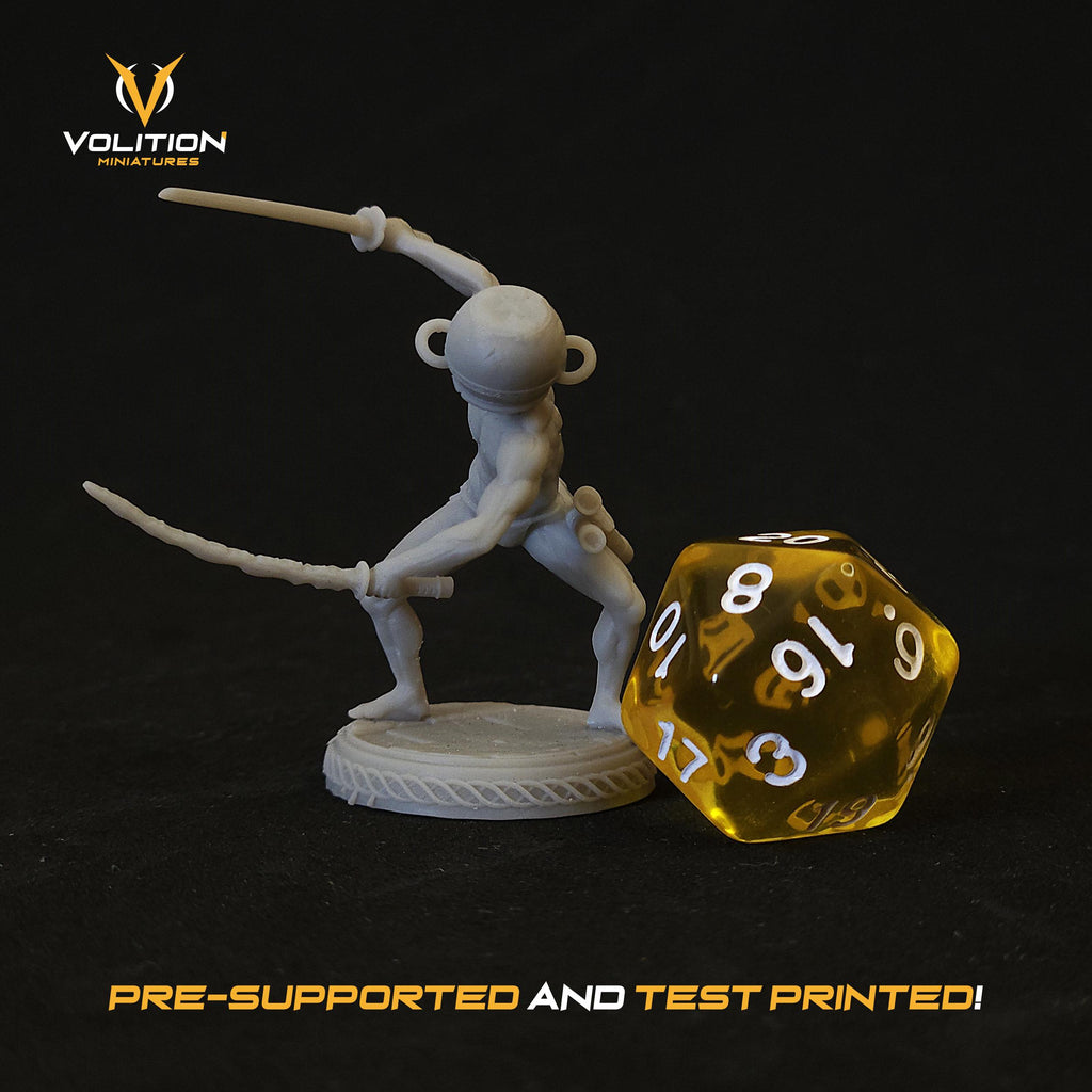 Let me solo her Miniature & Figure | Hand-Painted or Unpainted Resin Statue | Elden Ring Collectible | 16K Print | VolitionMiniatures