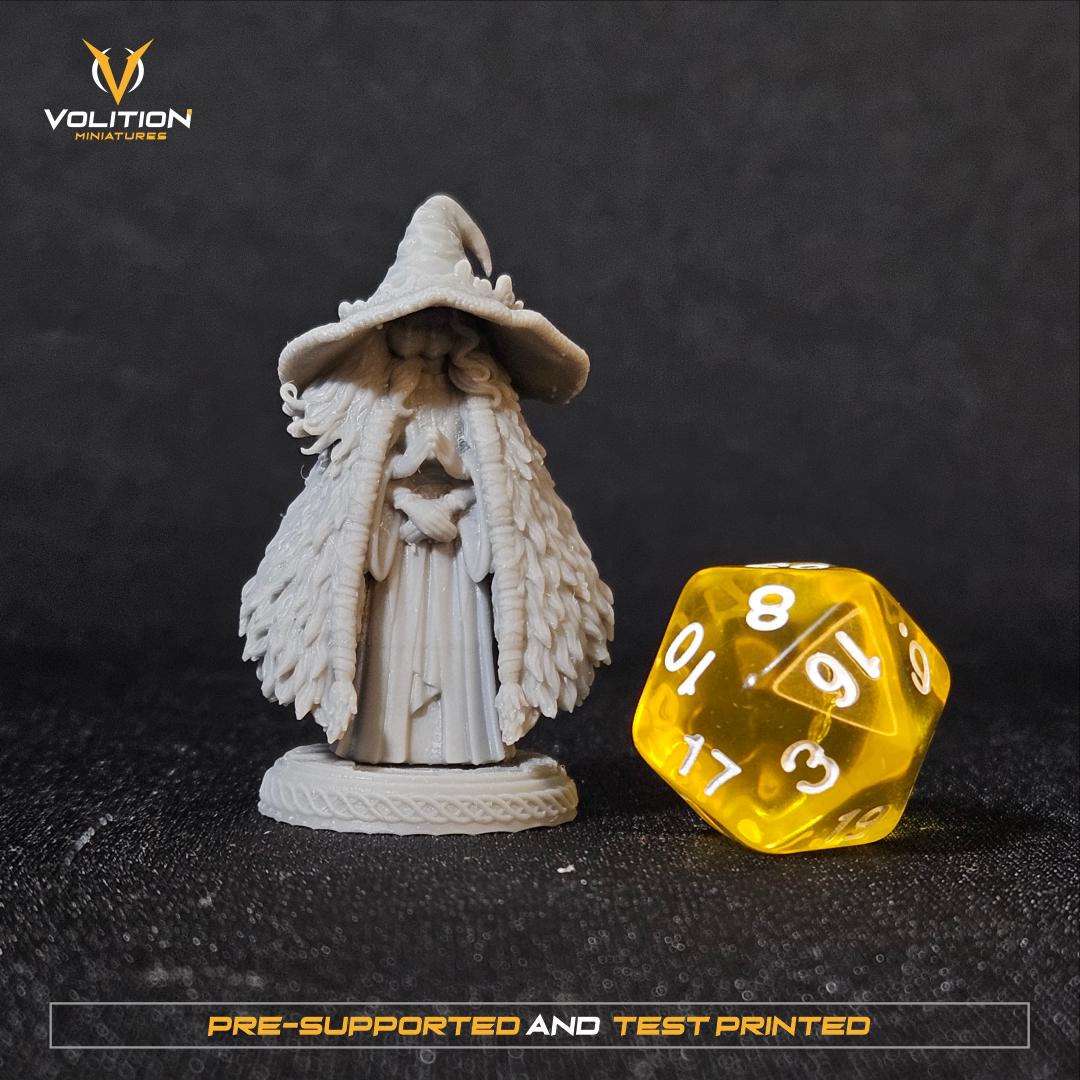 Ranni the Moon Princess Miniature | Hand-Painted or Unpainted Resin Statue | Elden Ring Collectible | 16K Print | VolitionMiniatures